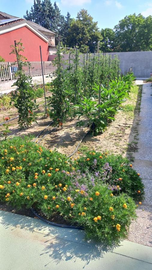 Gaiba Rb Bed & Breakfast מראה חיצוני תמונה